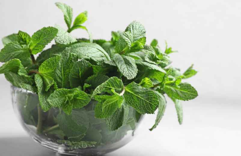 4. Sécher la menthe pour en faire une réserve-Luxury Design